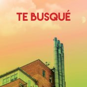 Te Busqué