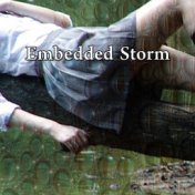 Embedded Storm