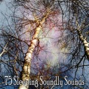 75 Sleeping Soundly Sounds