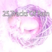 25 Tracks Of Rain