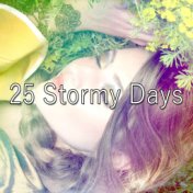 25 Stormy Days