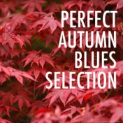 Perfect Autumn Blues Selection