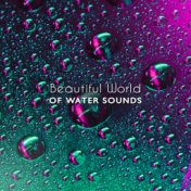 Beautiful World of Water Sounds: 2019 New Age Music Compilation, Piano Melodies with Many Kinds of Water Sounds Perfect for Rela...