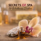 Secrets of Spa & Wellness Salon: 2019 New Age Ambient & Nature Music Collection Selected for Spa & Wellness Center, Hot Oil Rela...