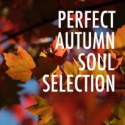 Perfect Autumn Soul Selection