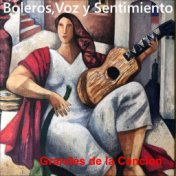 Boleros, Voz y Sentimiento: Grandes de la Canción