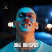 Bine Indispus (DJ Mate & Robert Georgescu Remix)