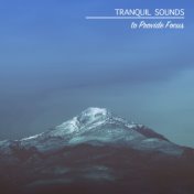 15 Tranquil Sounds to Provide Focus
