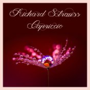 Richard strauss: capriccio