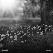 #14 Serene Noises to Invigorate Body and Soul