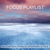 Ambient Music Therapy Playlist