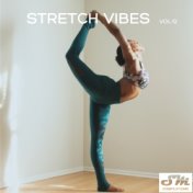 Stretch Vibes, Vol. 12