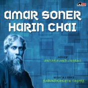 Amar Soner Harin Chai