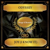 Joy (I Know It) (UK Chart Top 100 - No. 51)