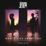 What I Like About You (Remixes)