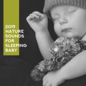 2019 Nature Sounds for Sleeping Baby: Bedtime Baby, Sleeping Songs, Healing Music for Insomnia, Relaxing Lullabies for Kids, Bab...