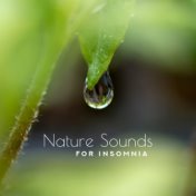 Nature Sounds for Insomnia: New Age Music for Relaxation & Sleep, Nature Music, Inner Balance, Deep Harmony, Total Chill