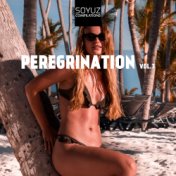 Peregrination, Vol. 7