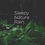 Sleepy Nature Rain