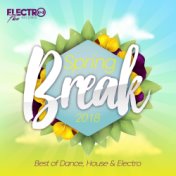 Spring Break 2018 (Best of Dance, House & Electro)