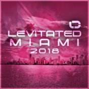 Levitated Miami 2018