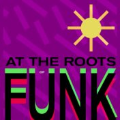 At Roots Of Funk