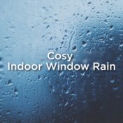 Cosy Indoor Window Rain