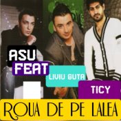 Roua de pe lalea ( Feat. Liviu Guta & Ticy )