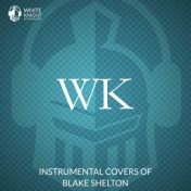 Instrumental Covers of Blake Shelton