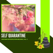 Self Quarantine - Soothing Detoxification Melodies, Vol. 5