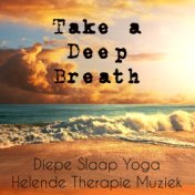 Take a Deep Breath - Diepe Slaap Yoga Helende Therapie Muziek voor Spirituele Genezing Hersenoefeningen en Concentratie Verbeter...
