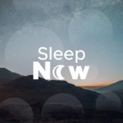 Sleep Now - Relaxing Easy Going Soft Music with the Sounds of Nature