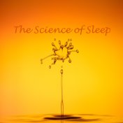 12 Sleep and Relaxation Tracks, The Science of Sleep, Deep Sleep and Wellbeing