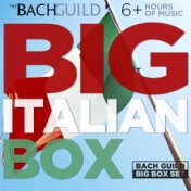 Big Italian Music Box