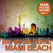 Big Room Beats In Miami Beach, Pt. 1