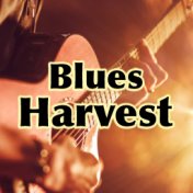 Blues Harvest