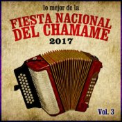 Lo Mejor de la Fiesta Nacional del Chamamé 2017, Vol. 3