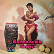 Mambomania Medley. Johnny'S Mambo / Mambo Margarita / Patricia / Amante Latino / In a Little Spanish Town / Mambo 5 / De Tod un ...