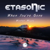 When You're Gone (Winter Mixes)