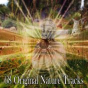 68 Original Nature Tracks