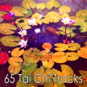 65 Tai Chi Tracks