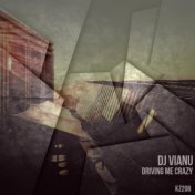 DJ Vianu