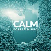 Calm Forest Music: Relaxation, Stress Relief, Nature Sounds, Chill Music, Rest, Piano Melodies