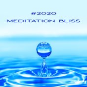 #2020 Meditation Bliss: Collection of 15 Best Ambient Tracks Composed for Full Yoga Immersion, Deepest Focus on Meditation and I...