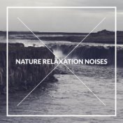 Nature Relaxation Noises: 2020 Mix of Music with Nature Sounds, Collection of Tracks for Full Relaxation, Rest, Calm Down, Fight...