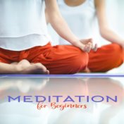 Meditation for Beginners: 2020 New Age Various Music Songs, Vibes for Total Yoga and Meditation Beginners, Join the World of Tot...