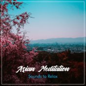 10 Calm Oasis Sounds for Rejuvenation