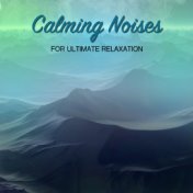 21 Calming Noises for Ultimate Relaxation