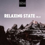 Relaxing State, Vol. 12