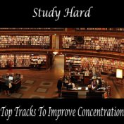 Study Hard Top Tracks To Improve Concentration